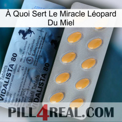 À Quoi Sert Le Miracle Léopard Du Miel 44